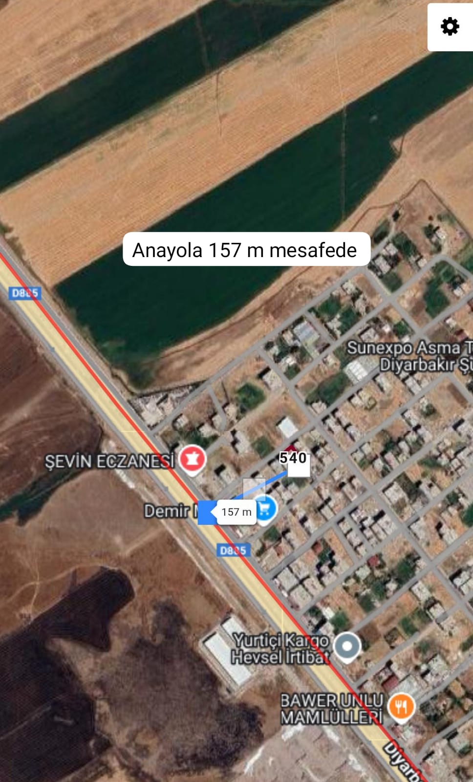 Fotoğraf